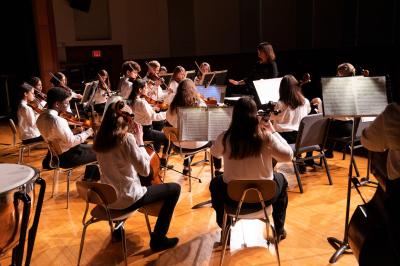 Orchestra ensemble performing on stage